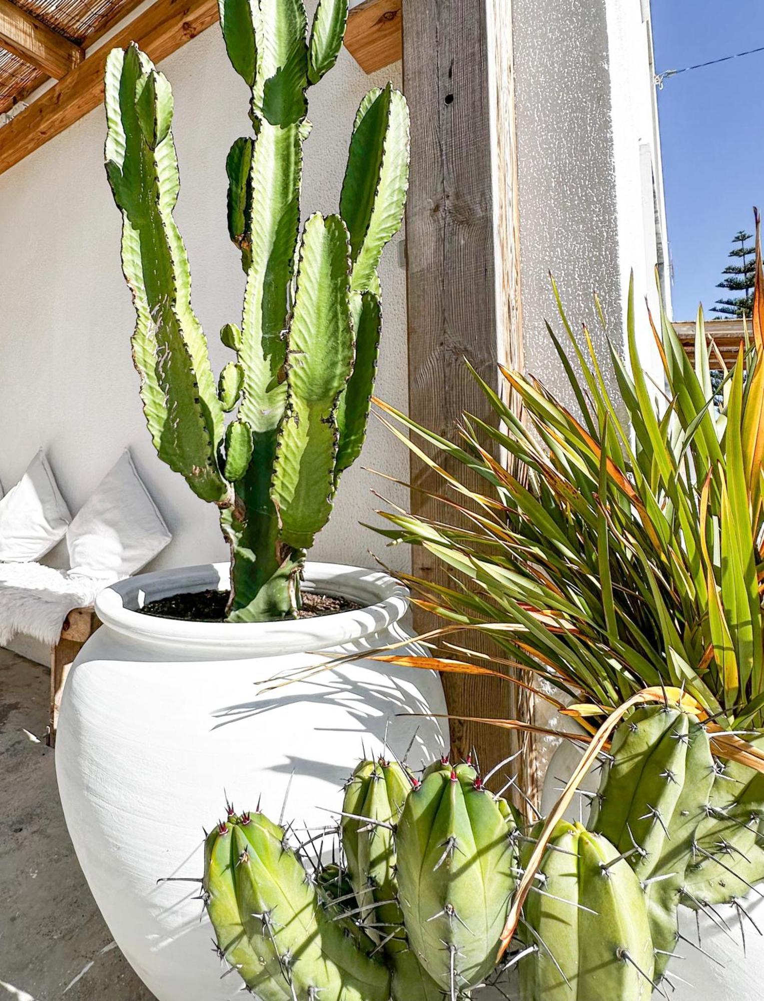 Albergue Ocean House - Ribeira D'Ilhas Ericeira Exterior foto